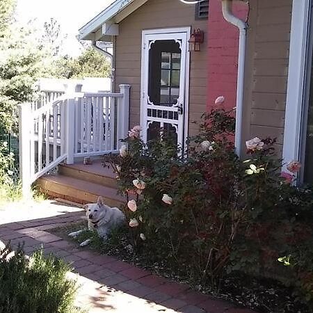 Blue Bird Cottage - Pet Friendly 줄리안 외부 사진