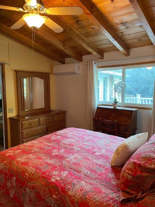 Blue Bird Cottage - Pet Friendly 줄리안 외부 사진