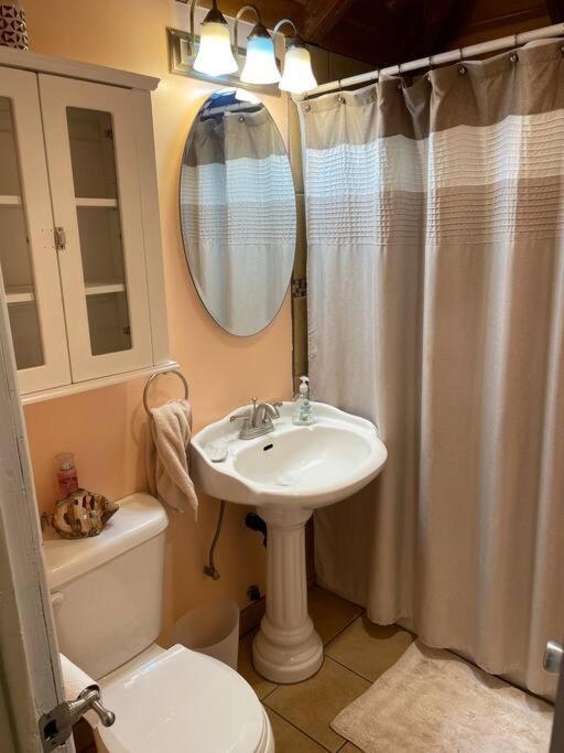 Blue Bird Cottage - Pet Friendly 줄리안 외부 사진