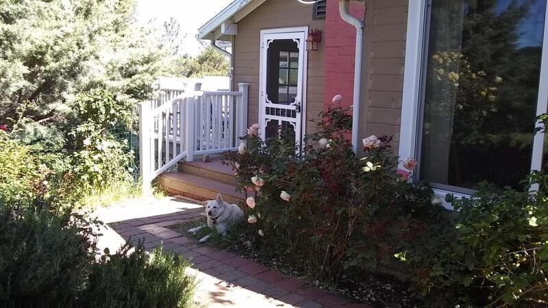 Blue Bird Cottage - Pet Friendly 줄리안 외부 사진